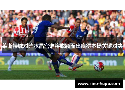 莱斯特城对阵水晶宫谁将脱颖而出赢得本场关键对决 莱斯特城对阵水晶宫谁将脱颖而出赢得本场关键对决