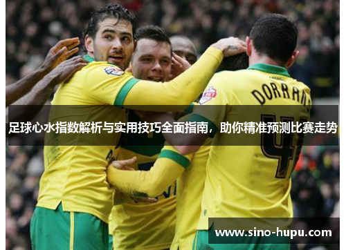 足球心水指数解析与实用技巧全面指南，助你精准预测比赛走势