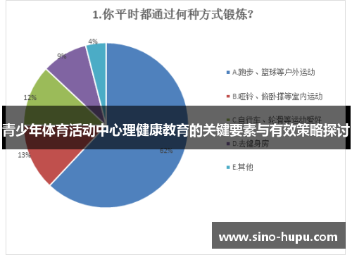 青少年体育活动中心理健康教育的关键要素与有效策略探讨